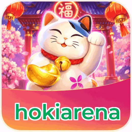 Screenshot 2 - hokiarena Features
