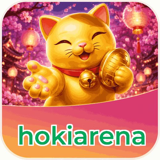 Screenshot 3 - hokiarena Settings
